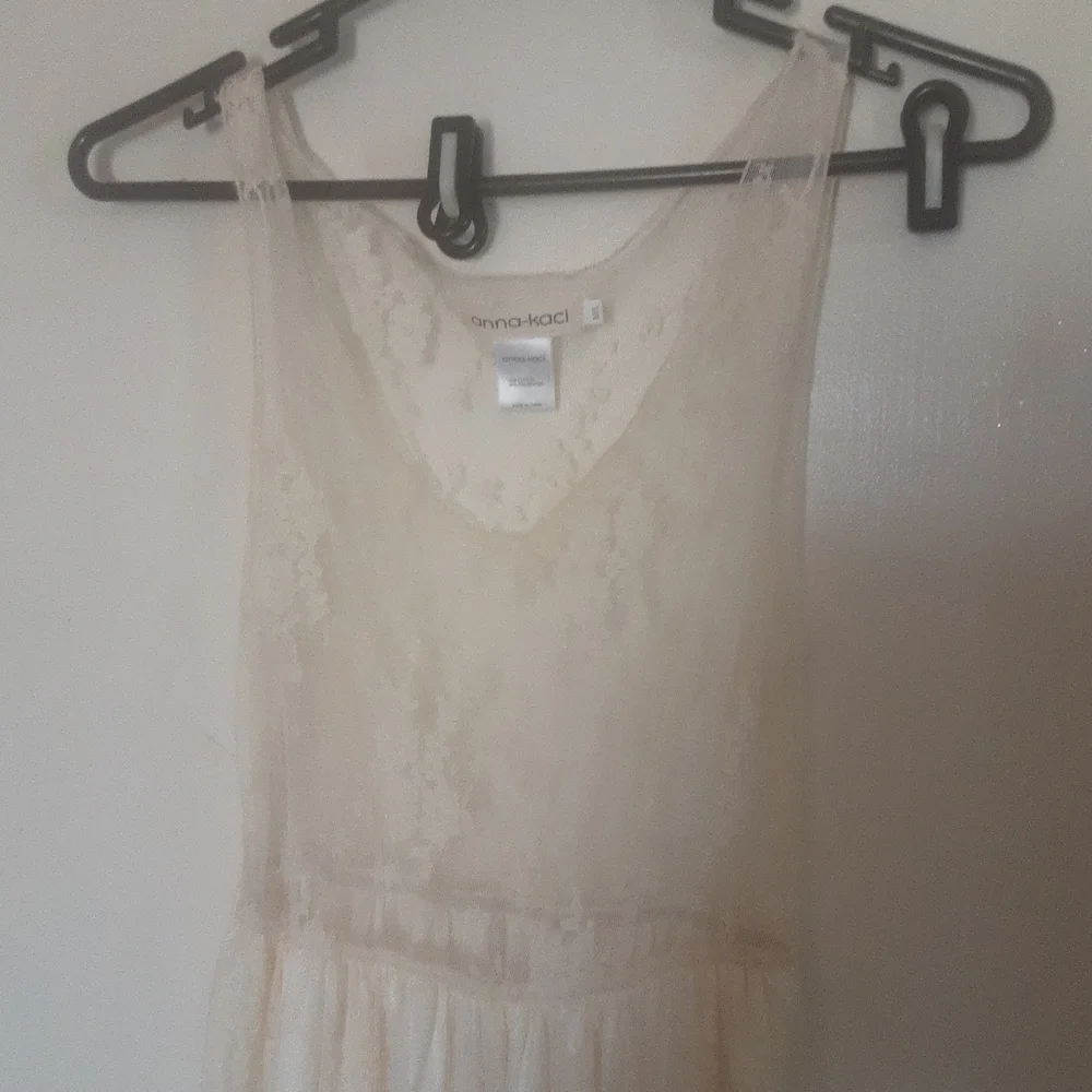 Anna- Kaci Sheer Lace Slip Dress Sz M/ L - Picture 2 of 9